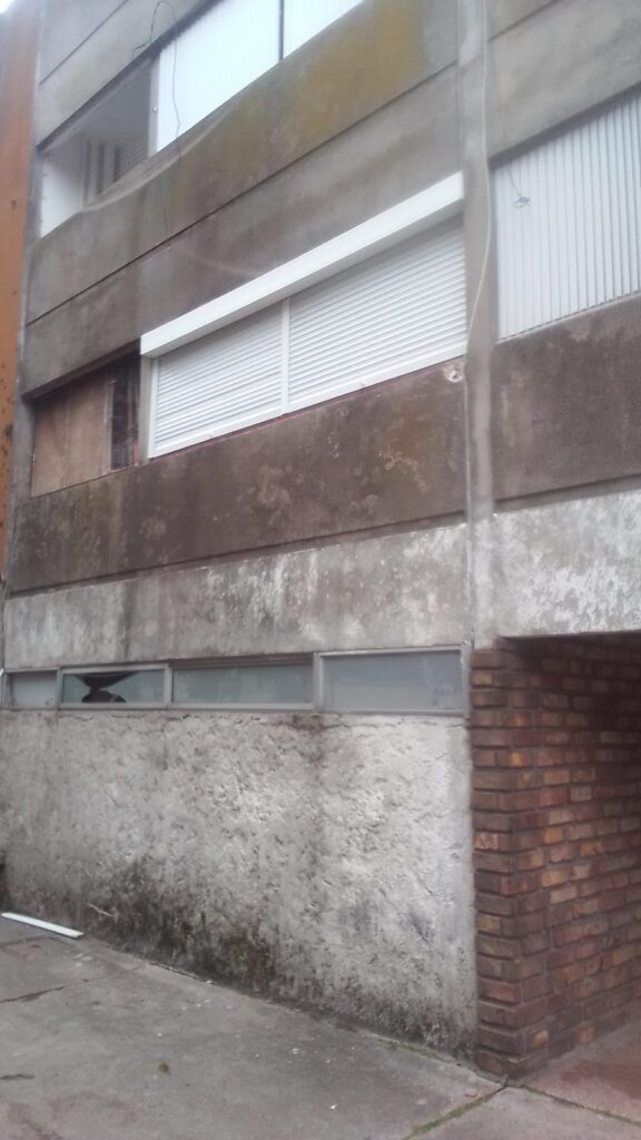 WhatsApp Image 2026-03-17 at 19.04.10 (4)