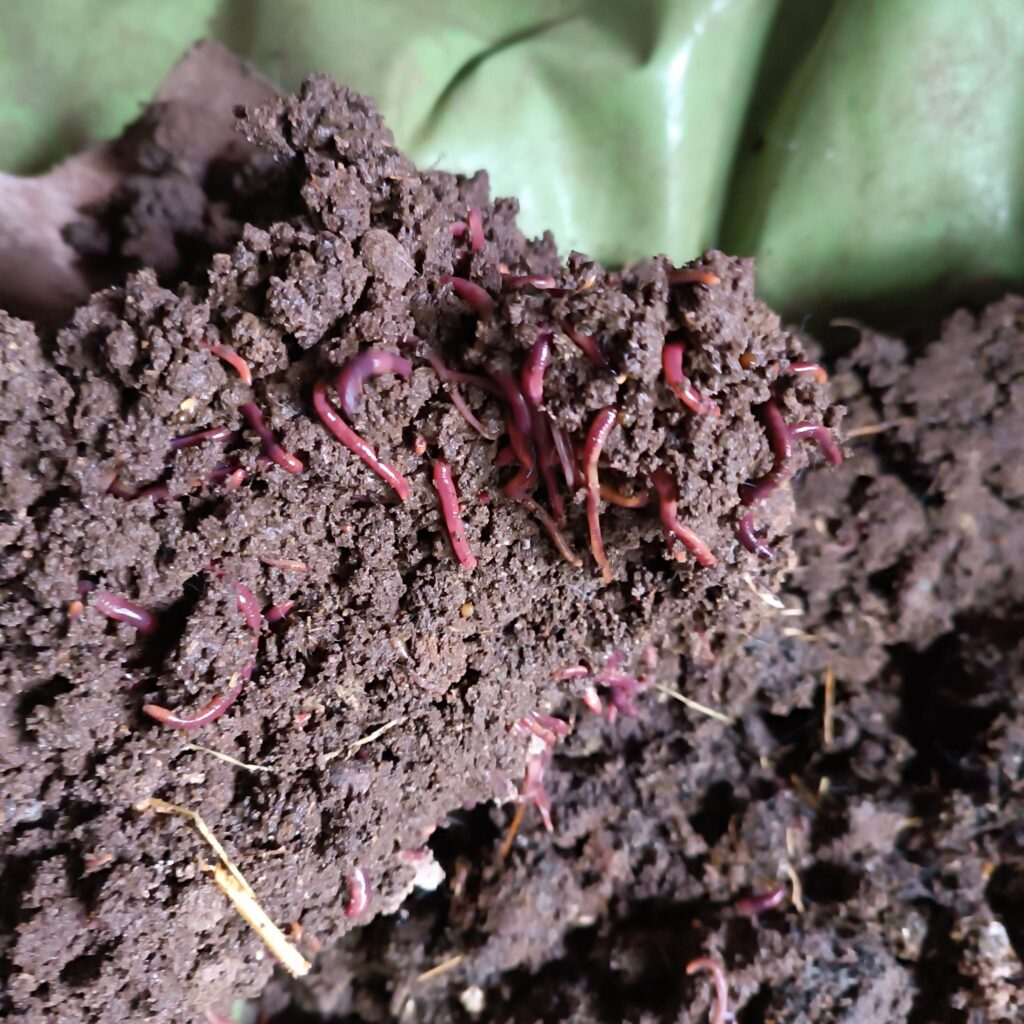 WhatsApp Image 2026-04-21 at 16.32.11 (2)