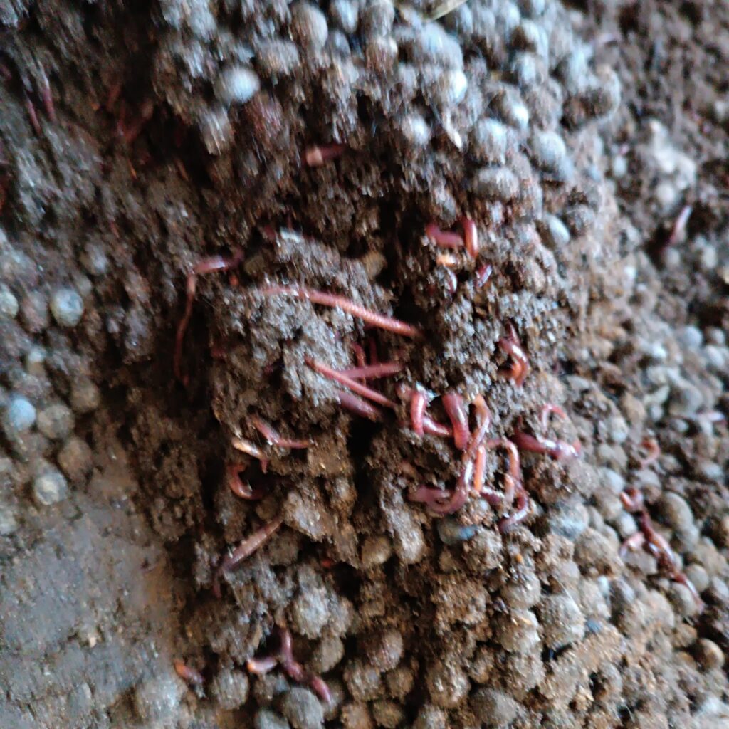 WhatsApp Image 2026-04-21 at 16.32.11 (3)