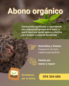 WhatsApp Image 2026-04-21 at 16.32.12