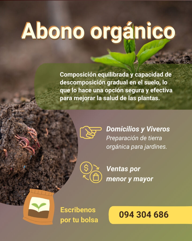 WhatsApp Image 2026-04-21 at 16.32.12