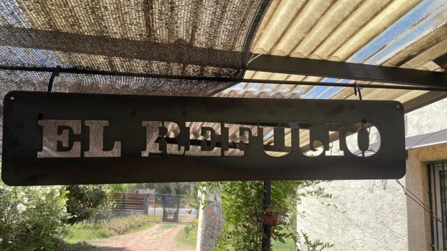 WhatsApp Image 2026-08-31 at 17.19.13 (1)