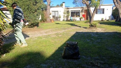 Mantemiendo de jardines Albe