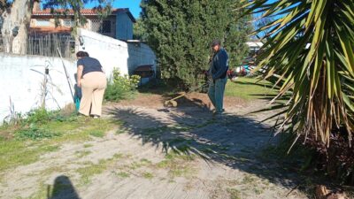 Mantemiendo de jardines Albe