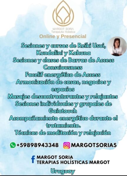Cursos Online y Presenciales de Reiki Barras de Access y Limpiezas Energeticas