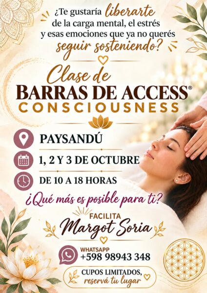 Cursos Online y Presenciales de Reiki Barras de Access y Limpiezas Energeticas