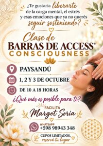 Cursos online y presencial Reiki Barras Access