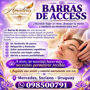 Barras de access en Mercedes Soriano