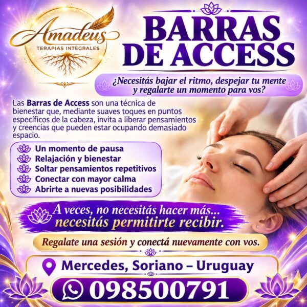 Barras de access en Mercedes Soriano