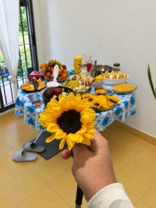 Orientacion Espiritual Lectura Tarot Buzios Mae Monica